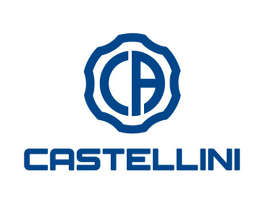 کاستلینی Castellini