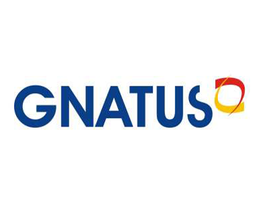 گناتوس Gnatus