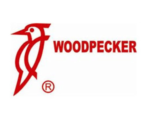 وودپیکر Woodpecker